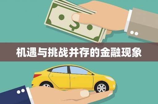 平川机遇与挑战并存的金融现象