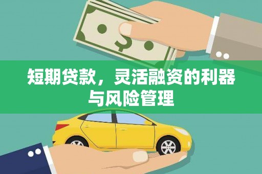 平川短期贷款，灵活融资的利器与风险管理