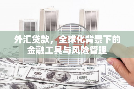 平川外汇贷款，全球化背景下的金融工具与风险管理