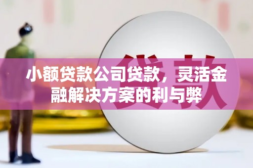 平川小额贷款公司贷款，灵活金融解决方案的利与弊